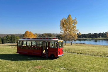 Trolley by a Pond